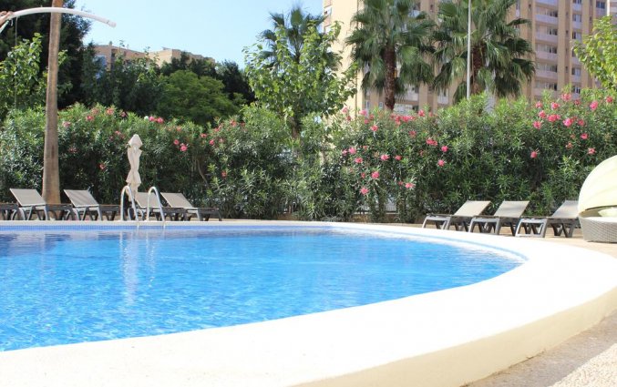 Zwembad van hotel Resort Flamingo Beach in Alicante